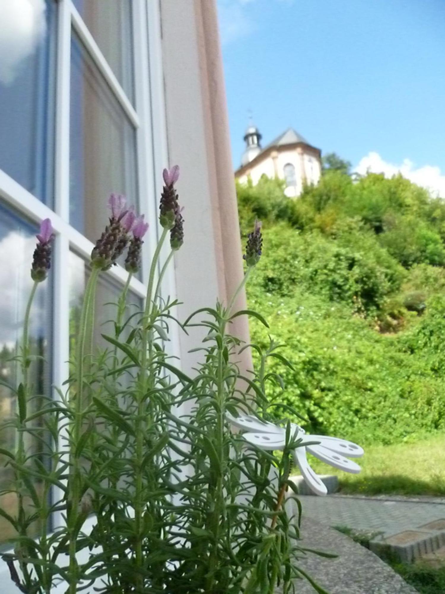 Apartment Moderne In Barockem Altstadthaus Nahe Altstadt Und Radweg Blieskastel