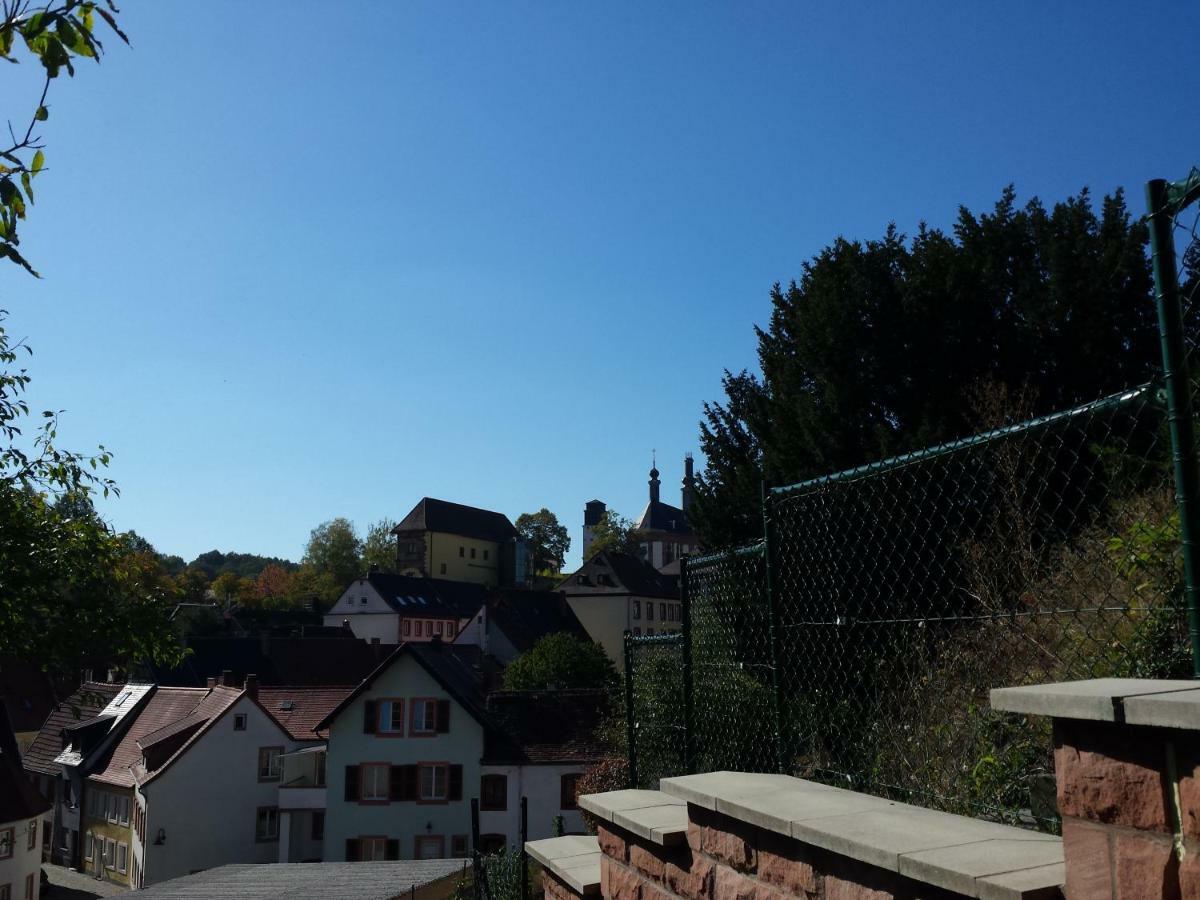 Moderne In Barockem Altstadthaus Nahe Altstadt Und Radweg Apartment Blieskastel